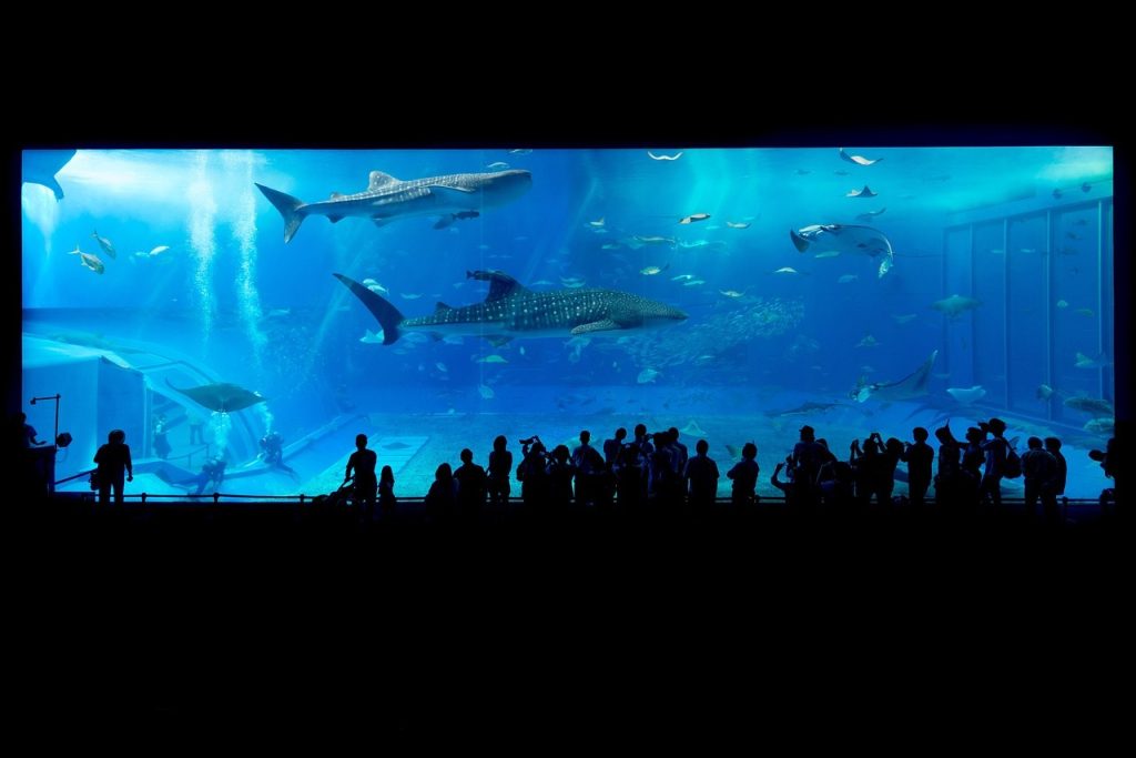 oceanography