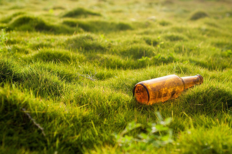 Environmental and Public Health