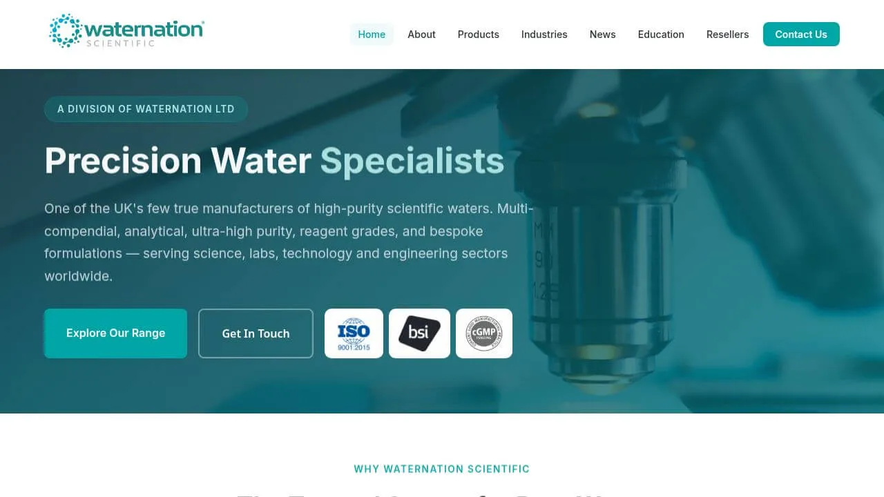 website launch